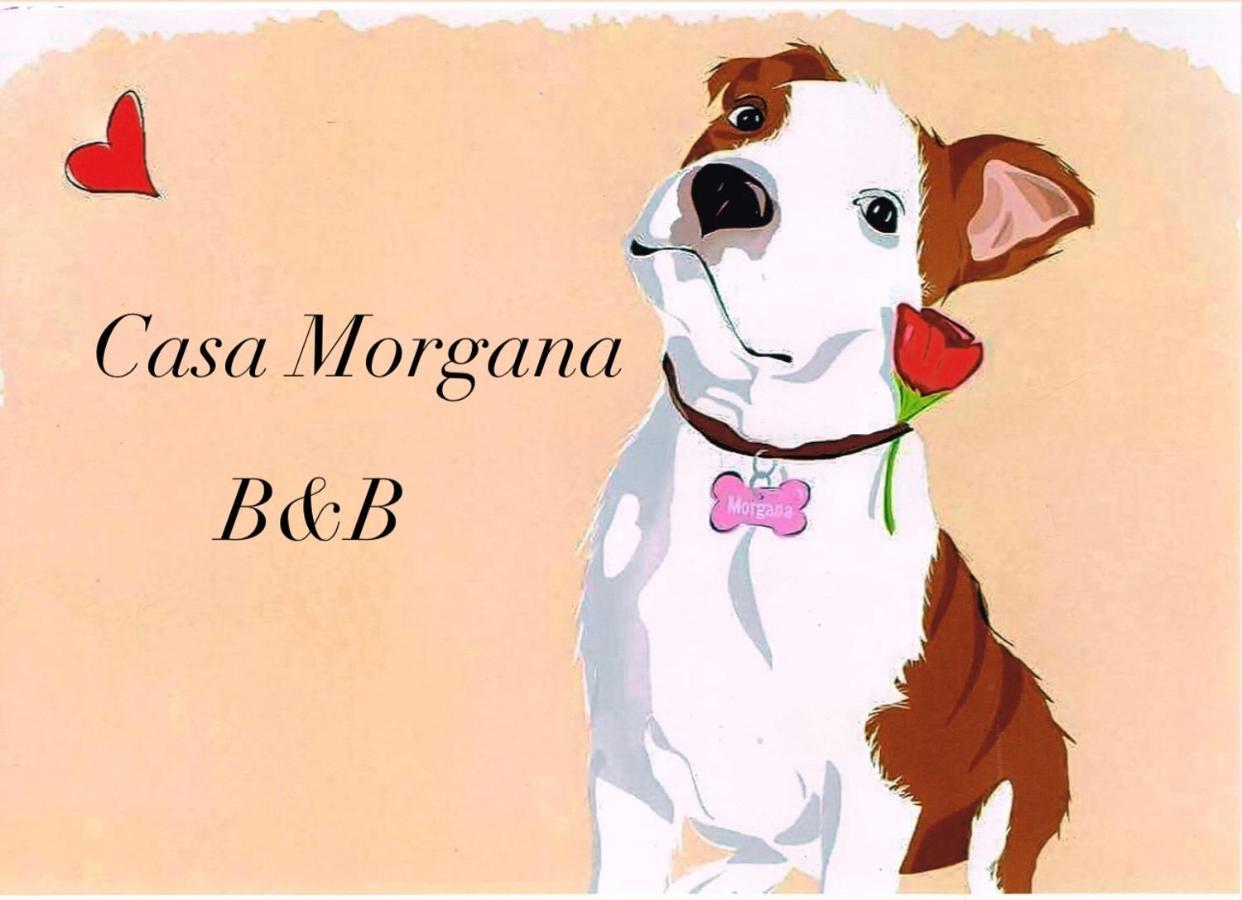 B&B Casa Morgana 올비아 외부 사진